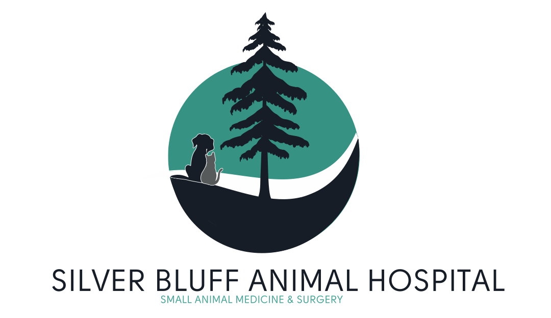 Silver Bluff Animal Hospital